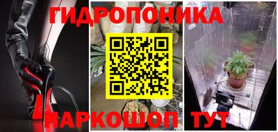 ешки Будённовск