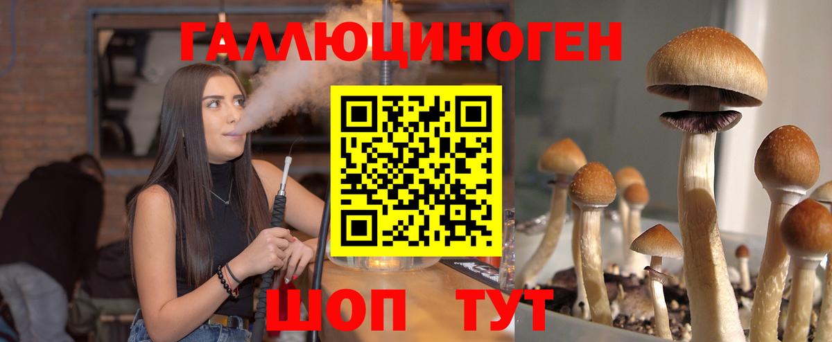 Псилоцибиновые грибы прущие грибы  Псилоцибиновые грибы ЛСД  Новокуйбышевск  Вход с VPN 